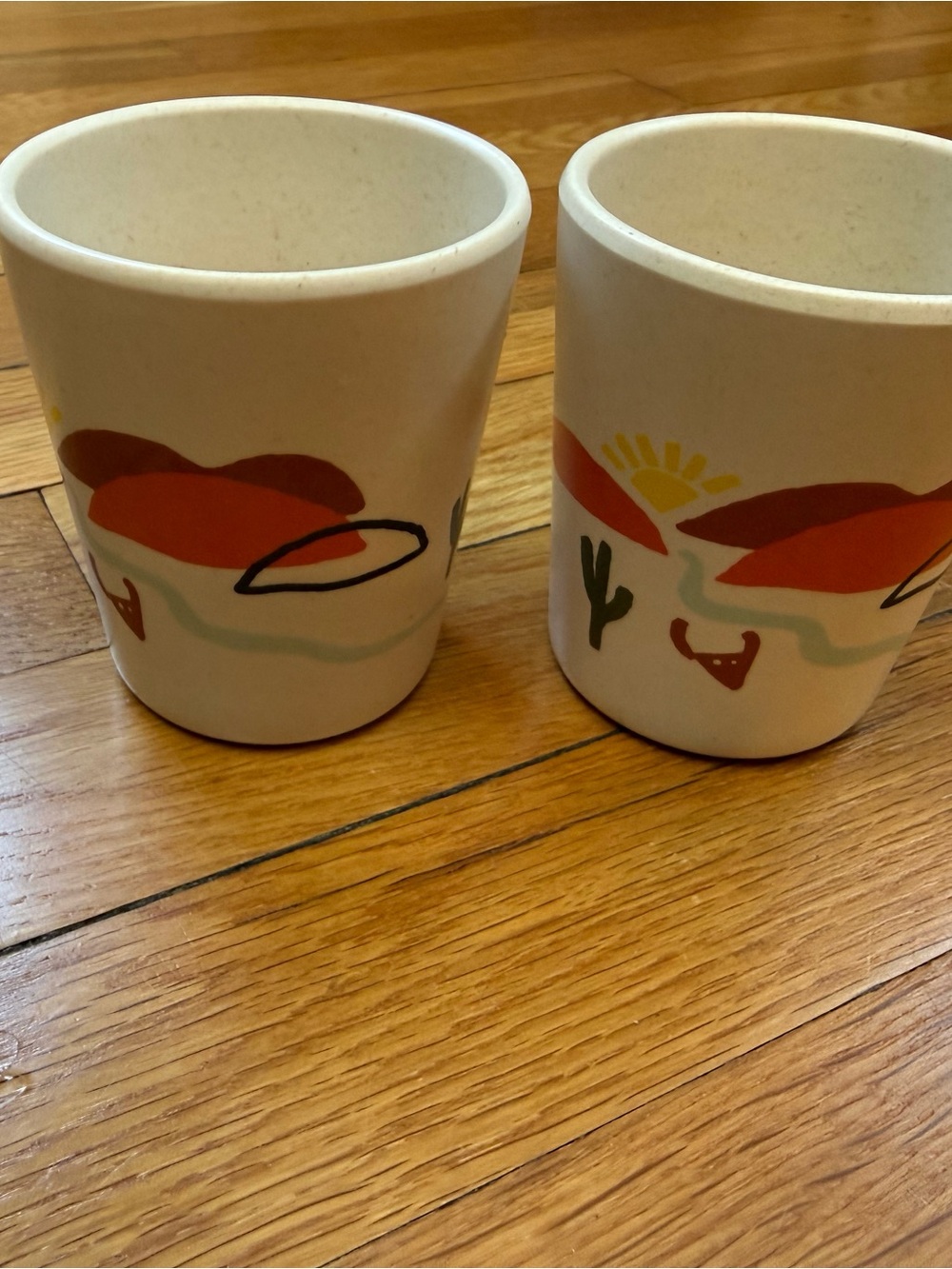 Set of two Pillowfort Southwestern kid’s cups
